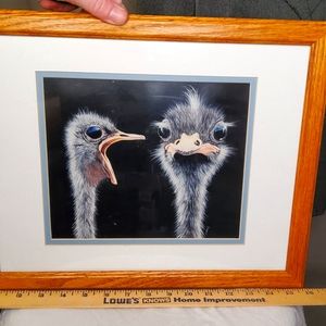 Angry Ostrich signed Cooper photograph framed 12x14"